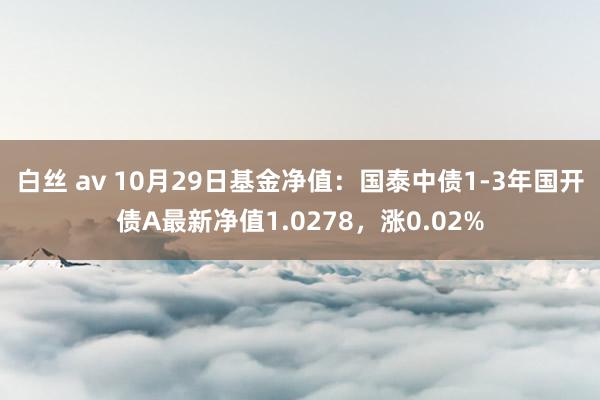 白丝 av 10月29日基金净值：国泰中债1-3年国开债A最新净值1.0278，涨0.02%