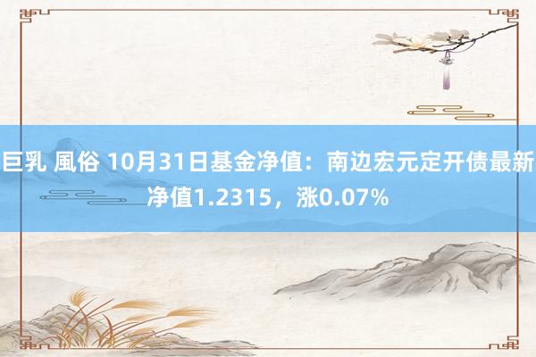 巨乳 風俗 10月31日基金净值：南边宏元定开债最新净值1.2315，涨0.07%