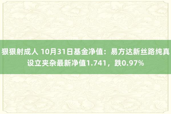 狠狠射成人 10月31日基金净值：易方达新丝路纯真设立夹杂最新净值1.741，跌0.97%