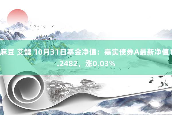 麻豆 艾鲤 10月31日基金净值：嘉实债券A最新净值1.2482，涨0.03%