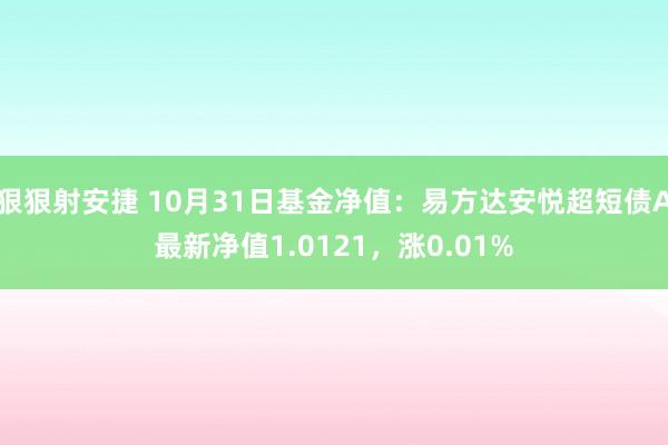 狠狠射安捷 10月31日基金净值：易方达安悦超短债A最新净值1.0121，涨0.01%