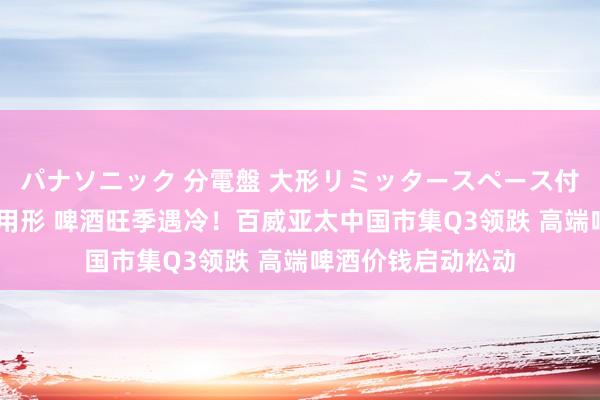 パナソニック 分電盤 大形リミッタースペース付 露出・半埋込両用形 啤酒旺季遇冷！百威亚太中国市集Q3领跌 高端啤酒价钱启动松动