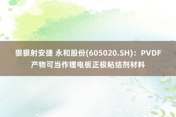 狠狠射安捷 永和股份(605020.SH)：PVDF产物可当作锂电板正极粘结剂材料