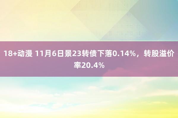 18+动漫 11月6日景23转债下落0.14%，转股溢价率20.4%