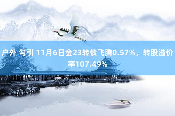 户外 勾引 11月6日金23转债飞腾0.57%，转股溢价率107.49%