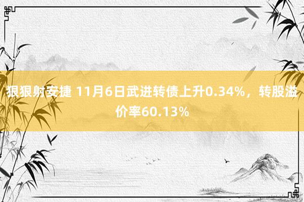 狠狠射安捷 11月6日武进转债上升0.34%，转股溢价率60.13%