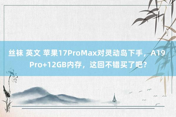 丝袜 英文 苹果17ProMax对灵动岛下手，A19 Pro+12GB内存，这回不错买了吧？