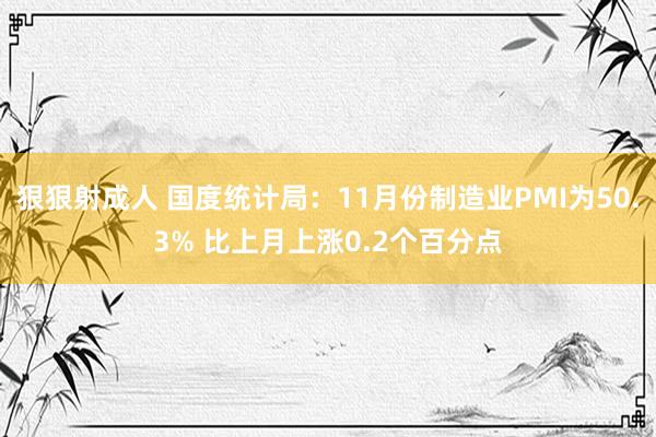 狠狠射成人 国度统计局：11月份制造业PMI为50.3% 比上月上涨0.2个百分点