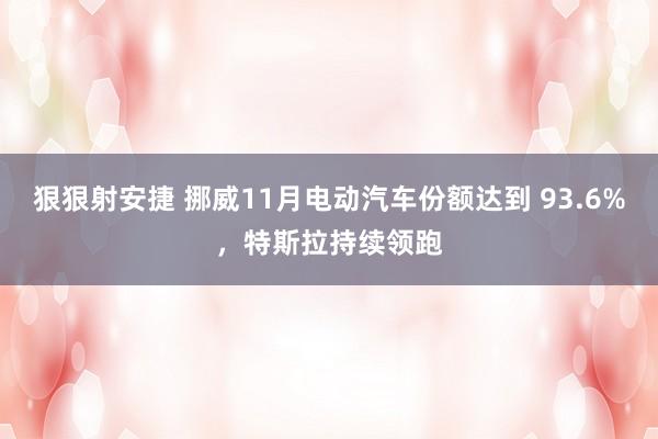 狠狠射安捷 挪威11月电动汽车份额达到 93.6%，特斯拉持续领跑