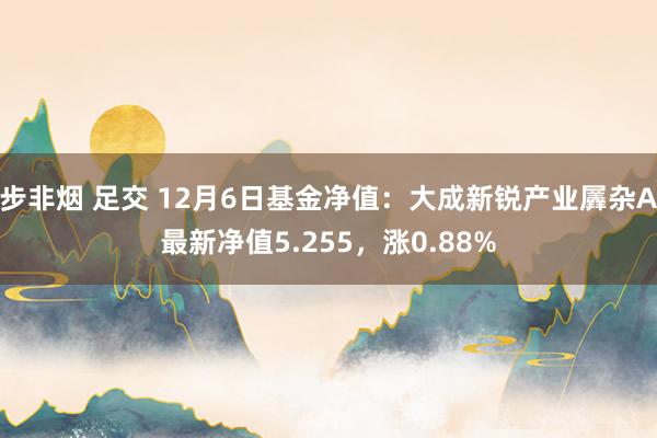 步非烟 足交 12月6日基金净值：大成新锐产业羼杂A最新净值5.255，涨0.88%