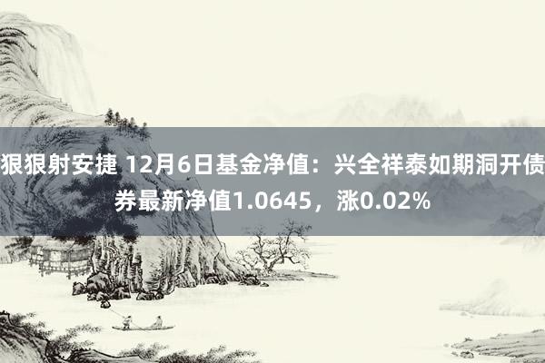 狠狠射安捷 12月6日基金净值：兴全祥泰如期洞开债券最新净值1.0645，涨0.02%