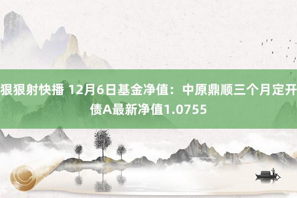 狠狠射快播 12月6日基金净值：中原鼎顺三个月定开债A最新净值1.0755