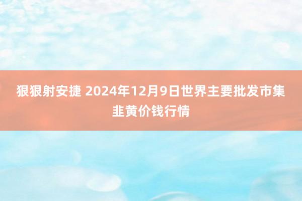 狠狠射安捷 2024年12月9日世界主要批发市集韭黄价钱行情