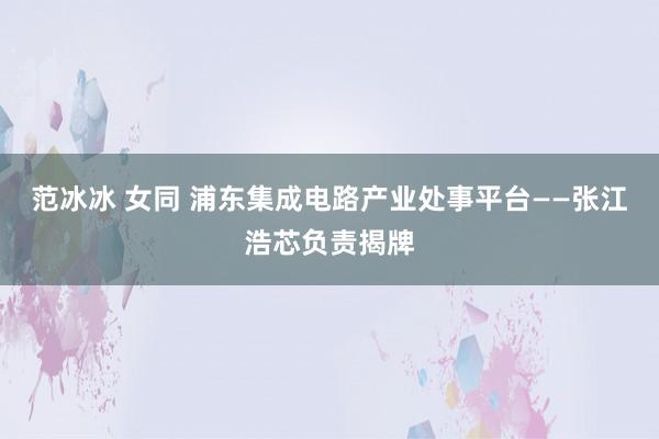 范冰冰 女同 浦东集成电路产业处事平台——张江浩芯负责揭牌