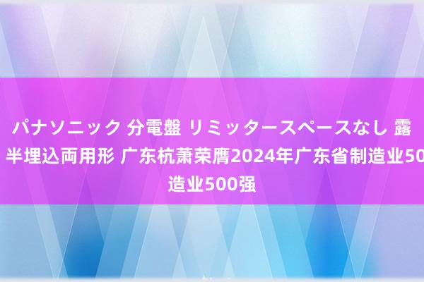 パナソニック 分電盤 リミッタースペースなし 露出・半埋込両用形 广东杭萧荣膺2024年广东省制造业500强