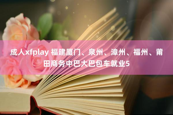 成人xfplay 福建厦门、泉州、漳州、福州、莆田商务中巴大巴包车就业5