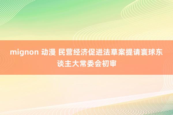 mignon 动漫 民营经济促进法草案提请寰球东谈主大常委会初审