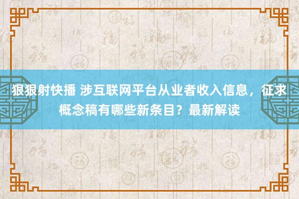 狠狠射快播 涉互联网平台从业者收入信息，征求概念稿有哪些新条目？最新解读