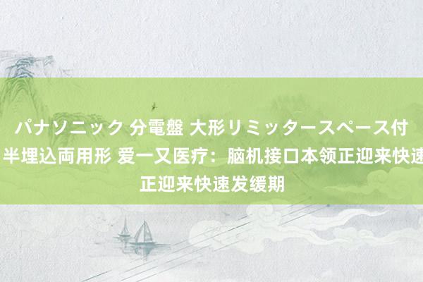 パナソニック 分電盤 大形リミッタースペース付 露出・半埋込両用形 爱一又医疗：脑机接口本领正迎来快速发缓期