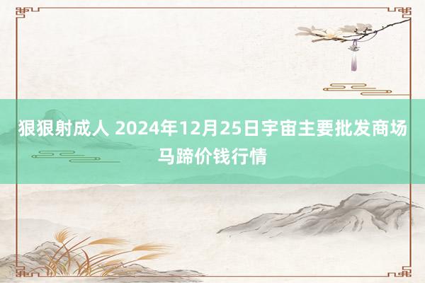 狠狠射成人 2024年12月25日宇宙主要批发商场马蹄价钱行情