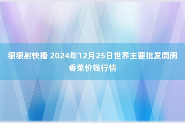 狠狠射快播 2024年12月25日世界主要批发阛阓香菜价钱行情