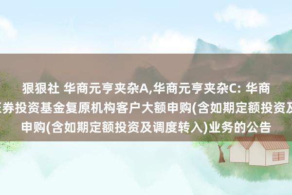 狠狠社 华商元亨夹杂A，华商元亨夹杂C: 华商元亨天真树立夹杂型证券投资基金复原机构客户大额申购(含如期定额投资及调度转入)业务的公告