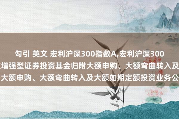 勾引 英文 宏利沪深300指数A，宏利沪深300指数C: 宏利沪深300指数增强型证券投资基金归附大额申购、大额弯曲转入及大额如期定额投资业务公告