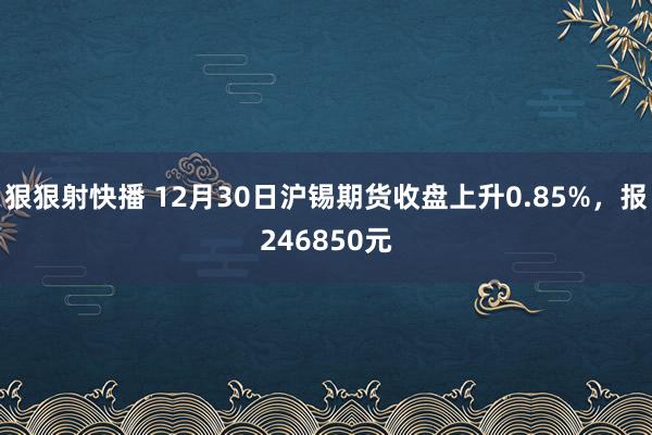 狠狠射快播 12月30日沪锡期货收盘上升0.85%，报246850元