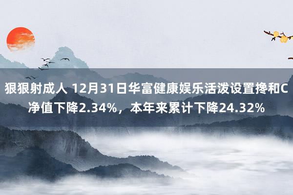 狠狠射成人 12月31日华富健康娱乐活泼设置搀和C净值下降2.34%，本年来累计下降24.32%