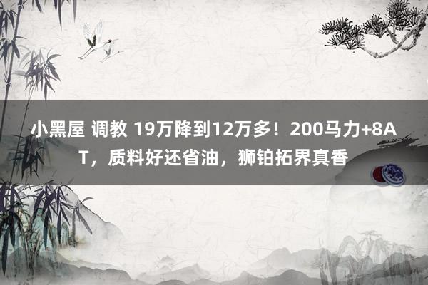 小黑屋 调教 19万降到12万多！200马力+8AT，质料好还省油，狮铂拓界真香