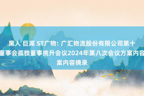 黑人 巨屌 ST广物: 广汇物流股份有限公司第十一届董事会孤独董事挑升会议2024年第八次会议方案内容摘录