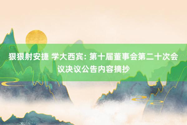 狠狠射安捷 学大西宾: 第十届董事会第二十次会议决议公告内容摘抄