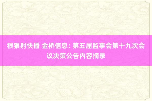 狠狠射快播 金桥信息: 第五届监事会第十九次会议决策公告内容摘录