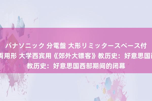 パナソニック 分電盤 大形リミッタースペース付 露出・半埋込両用形 大学西宾用《郊外大镖客》教历史：好意思国西部期间的闭幕