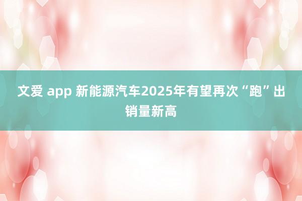 文爱 app 新能源汽车2025年有望再次“跑”出销量新高