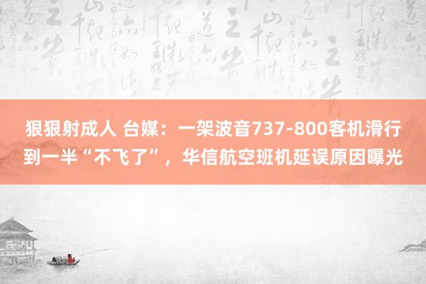 狠狠射成人 台媒：一架波音737-800客机滑行到一半“不飞了”，华信航空班机延误原因曝光