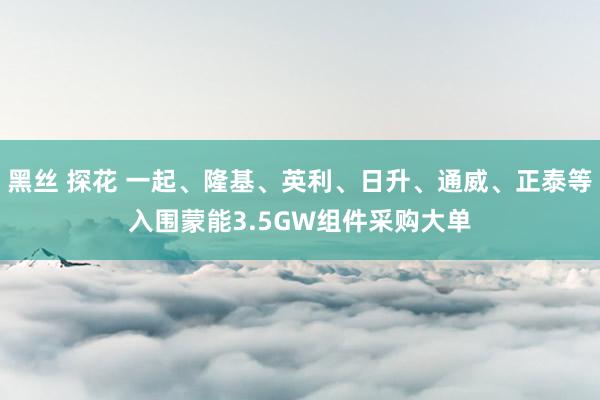 黑丝 探花 一起、隆基、英利、日升、通威、正泰等入围蒙能3.5GW组件采购大单