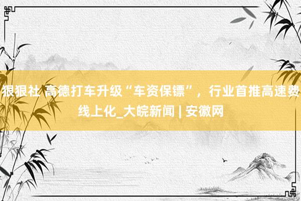 狠狠社 高德打车升级“车资保镖”，行业首推高速费线上化_大皖新闻 | 安徽网