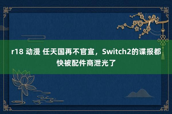 r18 动漫 任天国再不官宣，Switch2的谍报都快被配件商泄光了