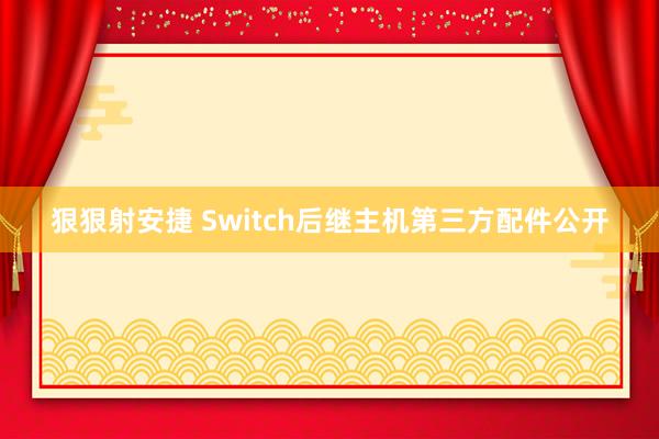 狠狠射安捷 Switch后继主机第三方配件公开