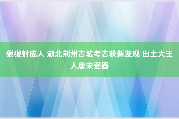 狠狠射成人 湖北荆州古城考古获新发现 出土大王人唐宋瓷器