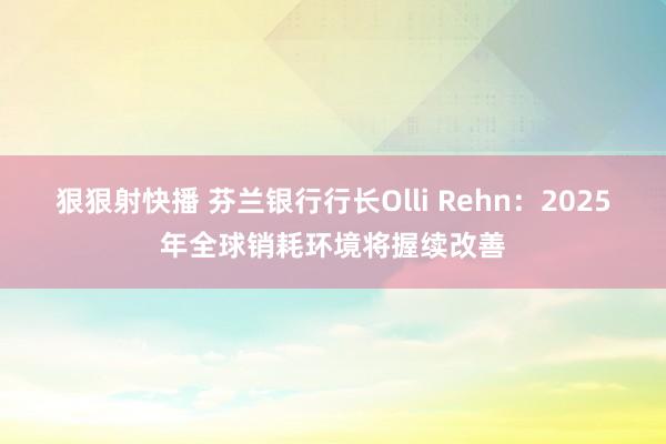 狠狠射快播 芬兰银行行长Olli Rehn：2025年全球销耗环境将握续改善