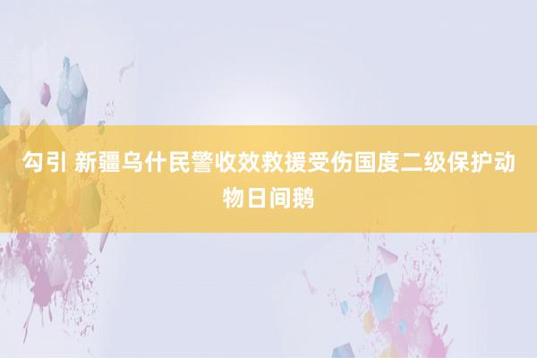 勾引 新疆乌什民警收效救援受伤国度二级保护动物日间鹅