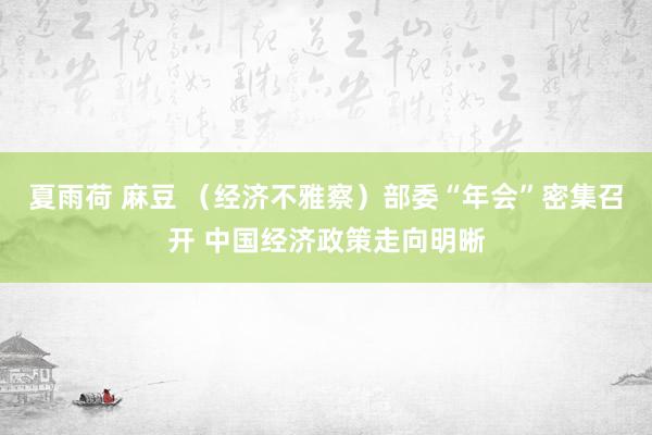 夏雨荷 麻豆 （经济不雅察）部委“年会”密集召开 中国经济政策走向明晰