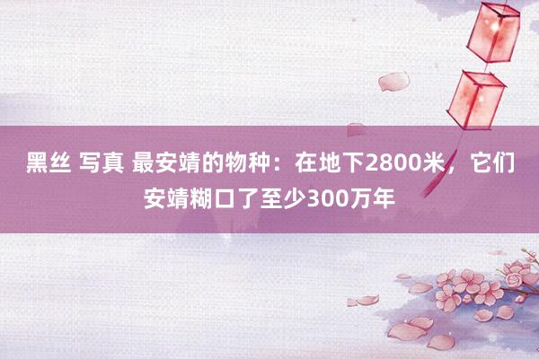 黑丝 写真 最安靖的物种：在地下2800米，它们安靖糊口了至少300万年
