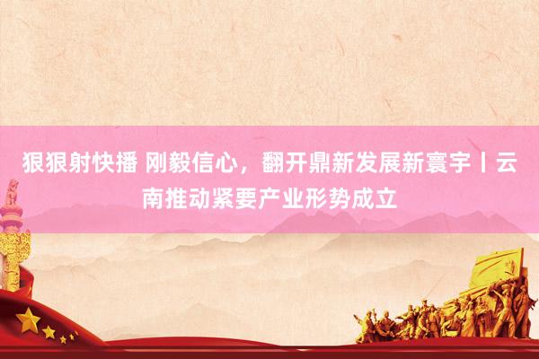 狠狠射快播 刚毅信心，翻开鼎新发展新寰宇丨云南推动紧要产业形势成立